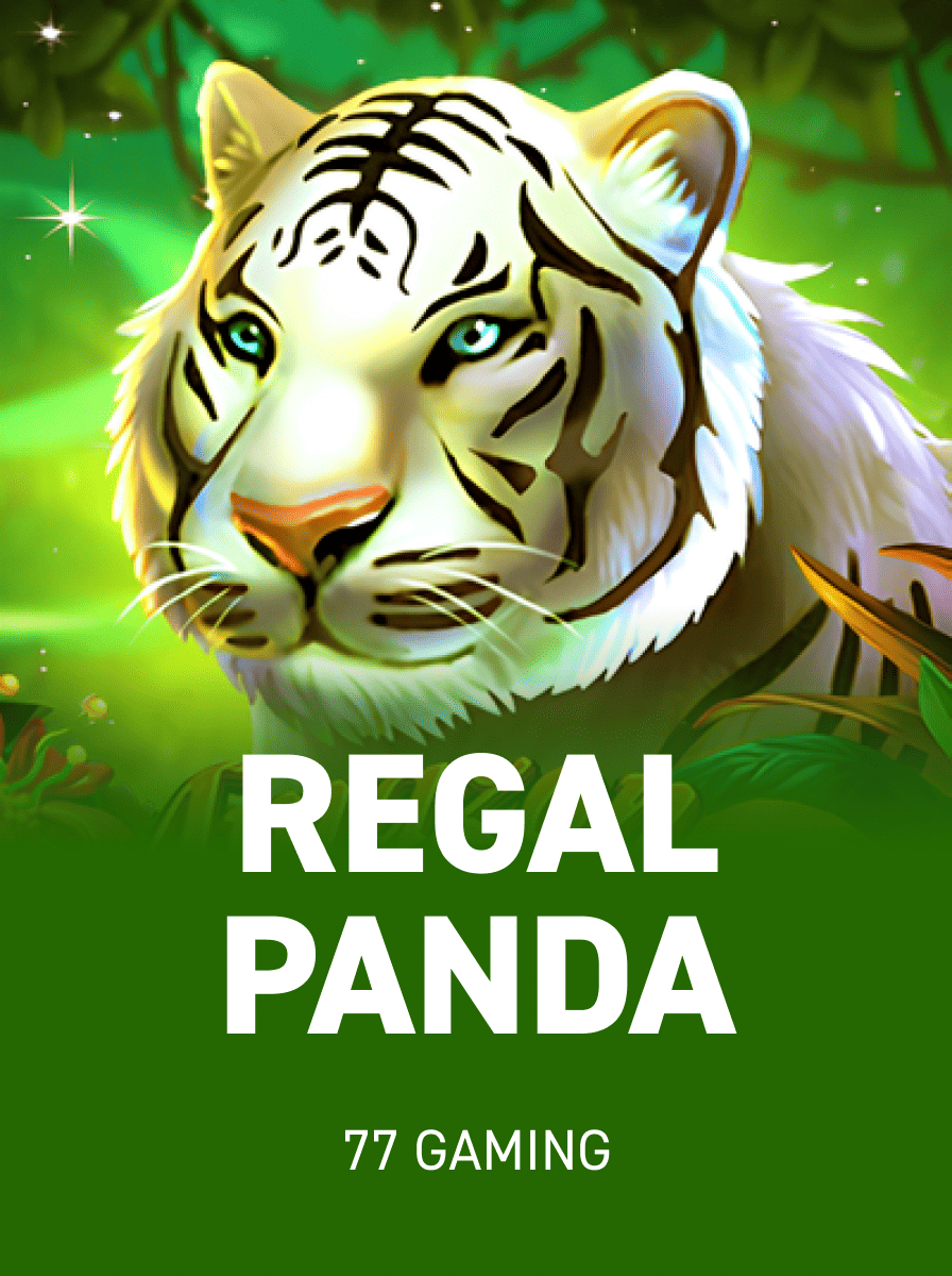 Beginners' Guide to MegaSlots Hub: Account Setup and Play Tips